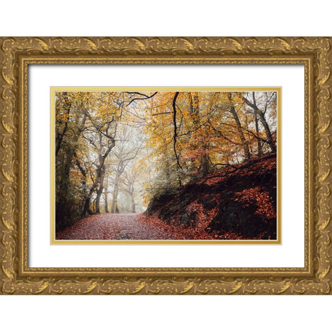 Country Road 4 Gold Ornate Wood Framed Art Print with Double Matting by Lee, Rachel
