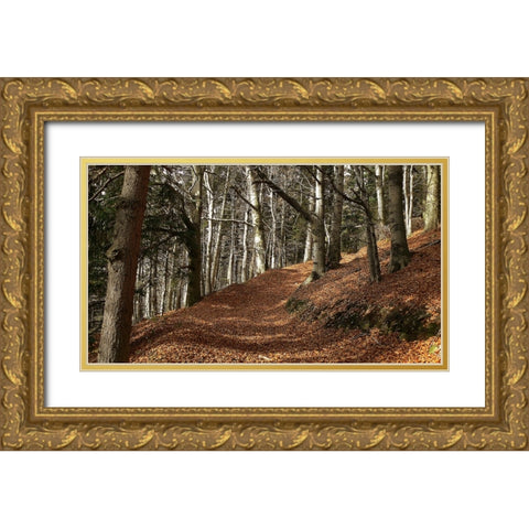 Country Road 5 Gold Ornate Wood Framed Art Print with Double Matting by Lee, Rachel