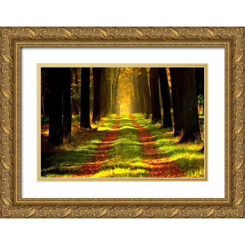 Country Road 6 Gold Ornate Wood Framed Art Print with Double Matting by Lee, Rachel