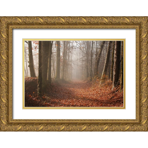 Country Road 7 Gold Ornate Wood Framed Art Print with Double Matting by Lee, Rachel