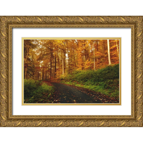 Country Road 8 Gold Ornate Wood Framed Art Print with Double Matting by Lee, Rachel