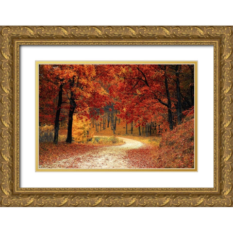 Country Road 9 Gold Ornate Wood Framed Art Print with Double Matting by Lee, Rachel