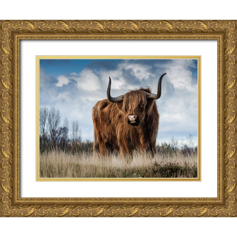 Cow 2 Gold Ornate Wood Framed Art Print with Double Matting by Lee, Rachel