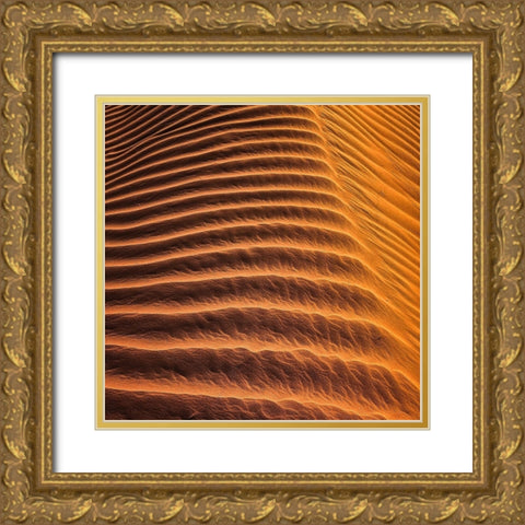 Desert 3 Gold Ornate Wood Framed Art Print with Double Matting by Lee, Rachel