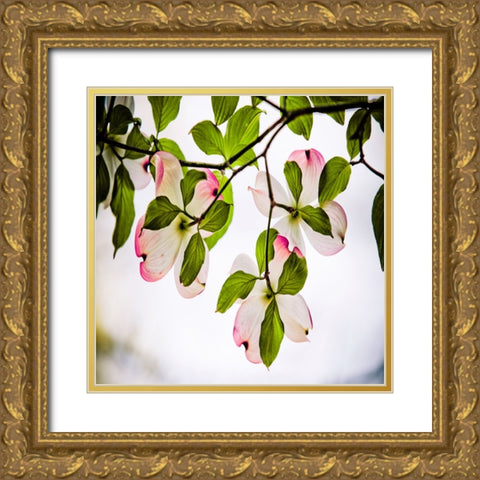 Dogwood Gold Ornate Wood Framed Art Print with Double Matting by Lee, Rachel