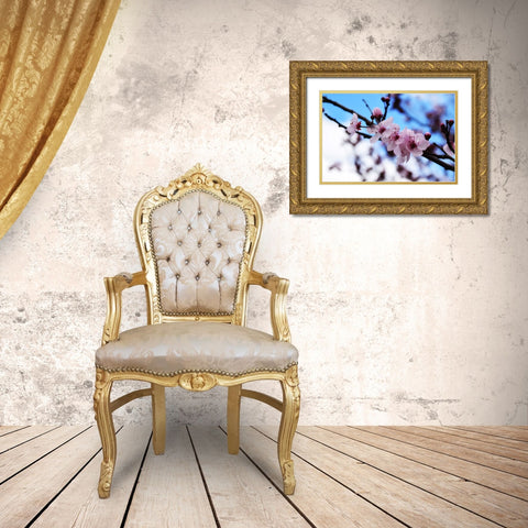 Dogwood Spring Gold Ornate Wood Framed Art Print with Double Matting by Lee, Rachel