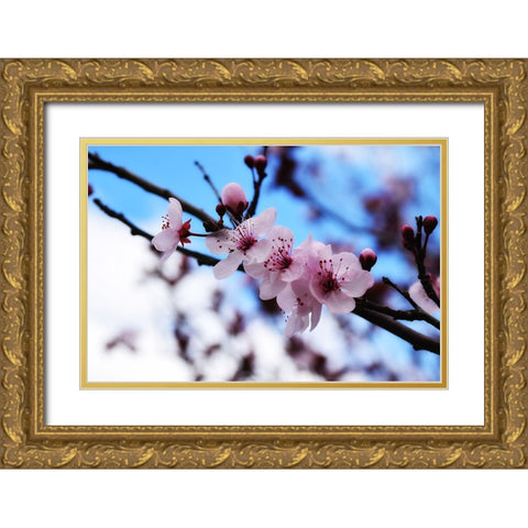 Dogwood Spring Gold Ornate Wood Framed Art Print with Double Matting by Lee, Rachel