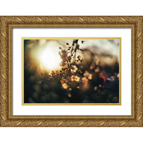 Dogwood Sunset Gold Ornate Wood Framed Art Print with Double Matting by Lee, Rachel