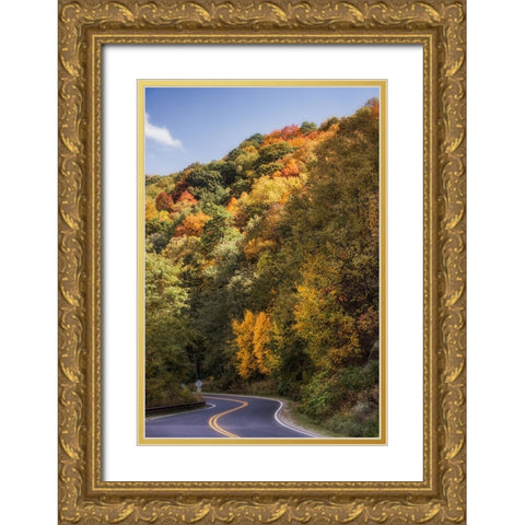 Fall Bend Gold Ornate Wood Framed Art Print with Double Matting by Lee, Rachel