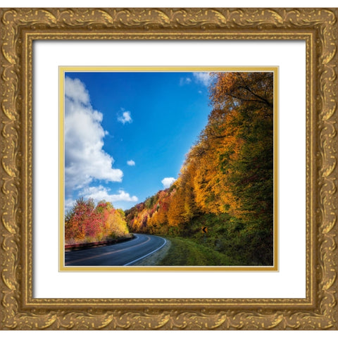 Fall Curve Gold Ornate Wood Framed Art Print with Double Matting by Lee, Rachel