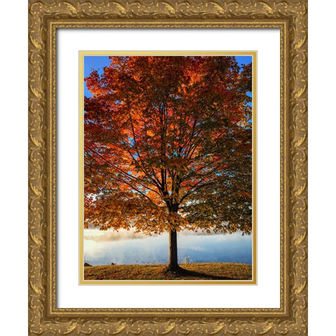 Fall Trees 15 Gold Ornate Wood Framed Art Print with Double Matting by Lee, Rachel