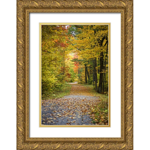 Fall Trees 4 Gold Ornate Wood Framed Art Print with Double Matting by Lee, Rachel