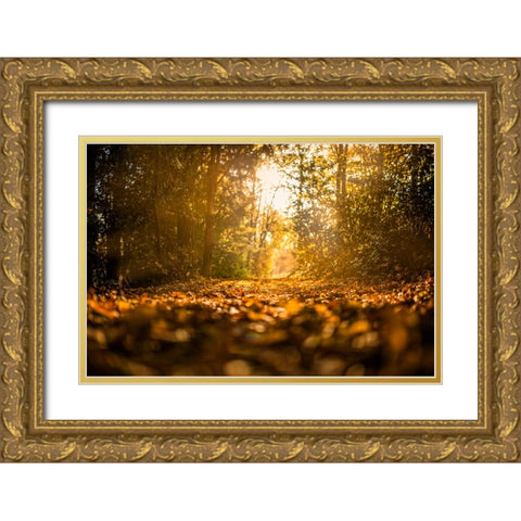 Fall Trees 5 Gold Ornate Wood Framed Art Print with Double Matting by Lee, Rachel
