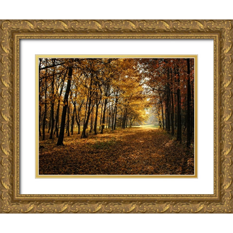 Fall Trees 9 Gold Ornate Wood Framed Art Print with Double Matting by Lee, Rachel