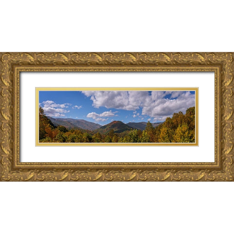 Fall Vista Gold Ornate Wood Framed Art Print with Double Matting by Lee, Rachel