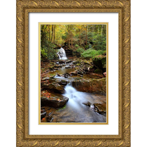 Falls 1 Gold Ornate Wood Framed Art Print with Double Matting by Lee, Rachel