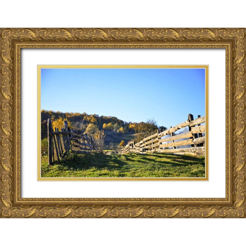 Fence 1 Gold Ornate Wood Framed Art Print with Double Matting by Lee, Rachel