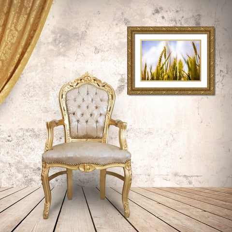 Field 1 Gold Ornate Wood Framed Art Print with Double Matting by Lee, Rachel