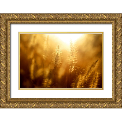 Field 10 Gold Ornate Wood Framed Art Print with Double Matting by Lee, Rachel