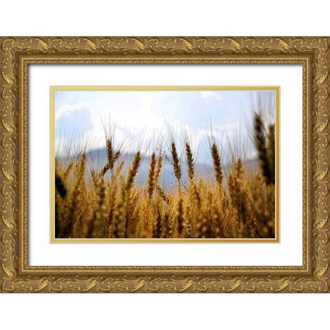 Field 11 Gold Ornate Wood Framed Art Print with Double Matting by Lee, Rachel