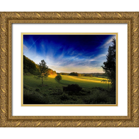 Field 12 Gold Ornate Wood Framed Art Print with Double Matting by Lee, Rachel