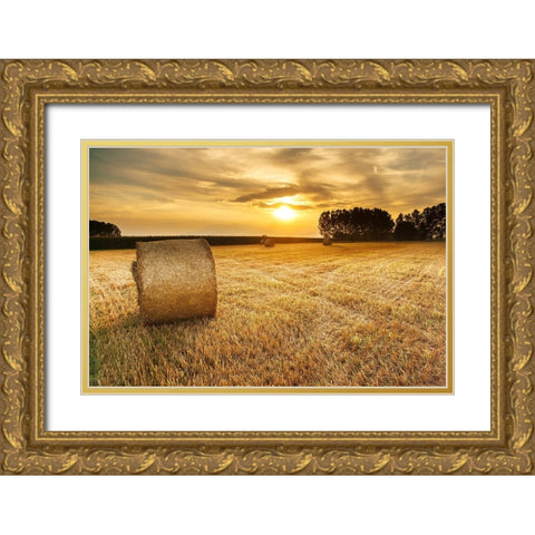 Field 14 Gold Ornate Wood Framed Art Print with Double Matting by Lee, Rachel