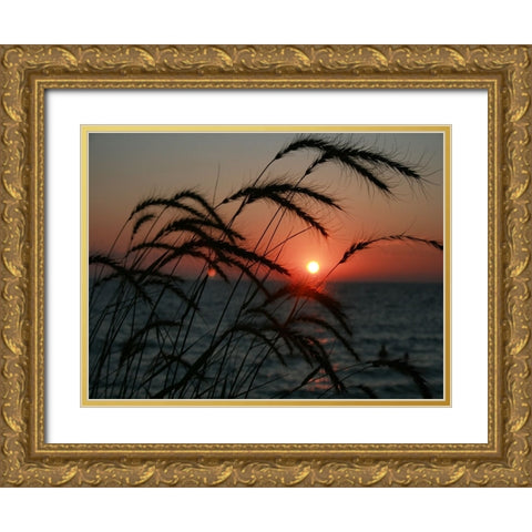 Field 18 Gold Ornate Wood Framed Art Print with Double Matting by Lee, Rachel