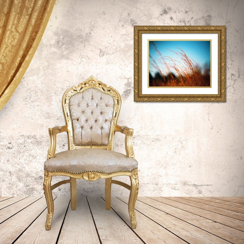 Field 20 Gold Ornate Wood Framed Art Print with Double Matting by Lee, Rachel