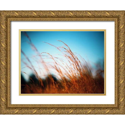 Field 20 Gold Ornate Wood Framed Art Print with Double Matting by Lee, Rachel
