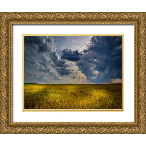 Field 21 Gold Ornate Wood Framed Art Print with Double Matting by Lee, Rachel