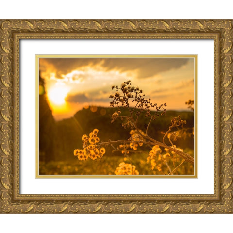 Field 23 Gold Ornate Wood Framed Art Print with Double Matting by Lee, Rachel