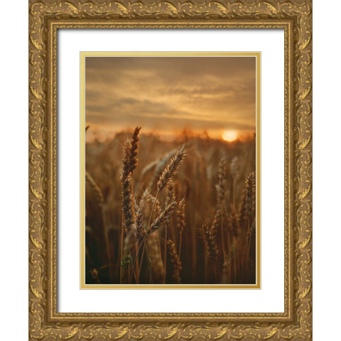 Field 24 Gold Ornate Wood Framed Art Print with Double Matting by Lee, Rachel