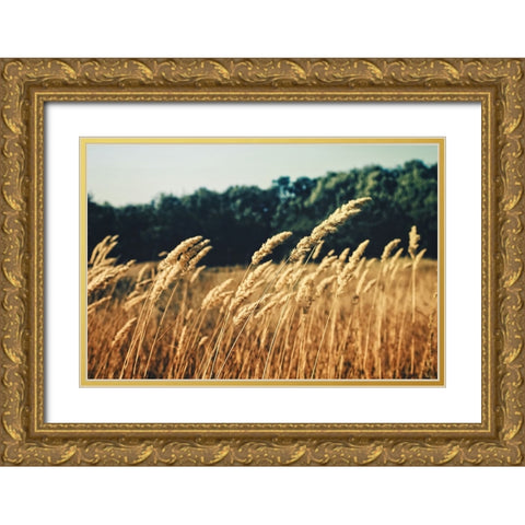 Field 4 Gold Ornate Wood Framed Art Print with Double Matting by Lee, Rachel