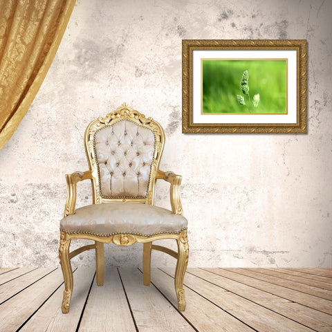 Field 7 Gold Ornate Wood Framed Art Print with Double Matting by Lee, Rachel