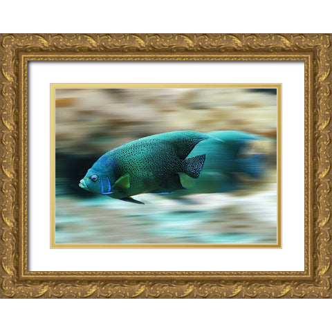Fish Gold Ornate Wood Framed Art Print with Double Matting by Lee, Rachel
