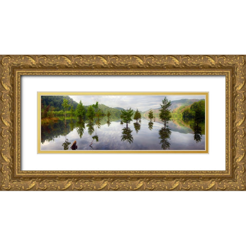 Floating Trees Gold Ornate Wood Framed Art Print with Double Matting by Lee, Rachel