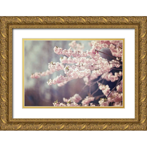 Flower 29 Gold Ornate Wood Framed Art Print with Double Matting by Lee, Rachel