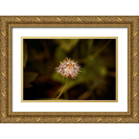 Flower 3 Gold Ornate Wood Framed Art Print with Double Matting by Lee, Rachel