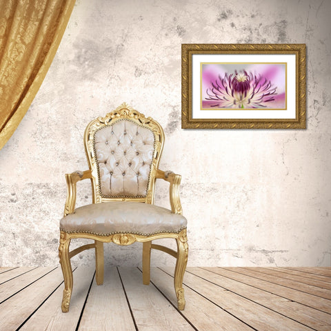 Flower 31 Gold Ornate Wood Framed Art Print with Double Matting by Lee, Rachel
