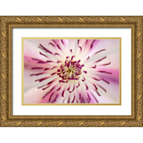 Flower 32 Gold Ornate Wood Framed Art Print with Double Matting by Lee, Rachel