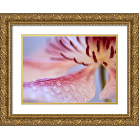 Flower 33 Gold Ornate Wood Framed Art Print with Double Matting by Lee, Rachel