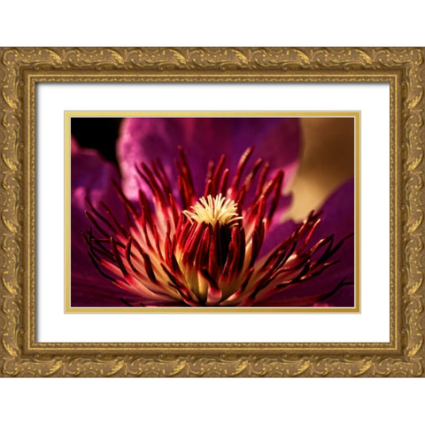 Flower 34 Gold Ornate Wood Framed Art Print with Double Matting by Lee, Rachel