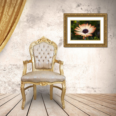 Flower 35 Gold Ornate Wood Framed Art Print with Double Matting by Lee, Rachel