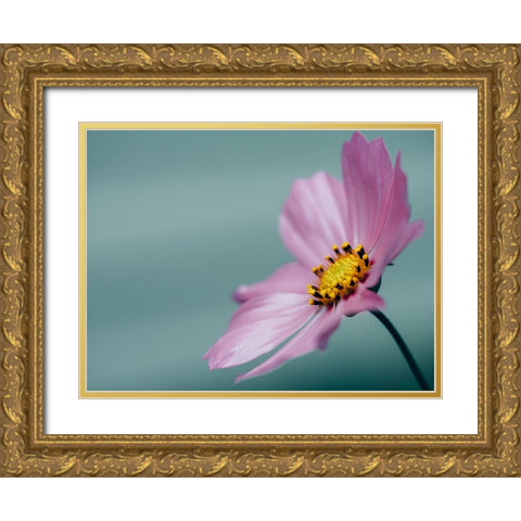 Flower 36 Gold Ornate Wood Framed Art Print with Double Matting by Lee, Rachel