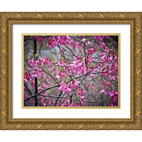 Flower 43 Gold Ornate Wood Framed Art Print with Double Matting by Lee, Rachel