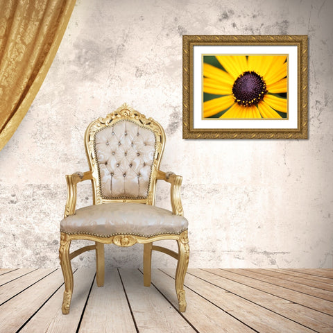 Flower 44 Gold Ornate Wood Framed Art Print with Double Matting by Lee, Rachel