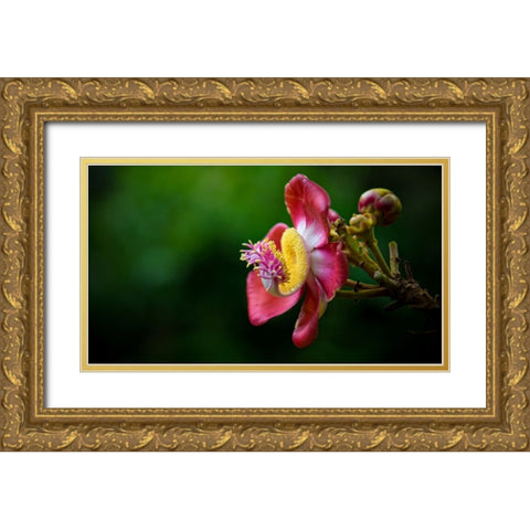 Flower 5 Gold Ornate Wood Framed Art Print with Double Matting by Lee, Rachel