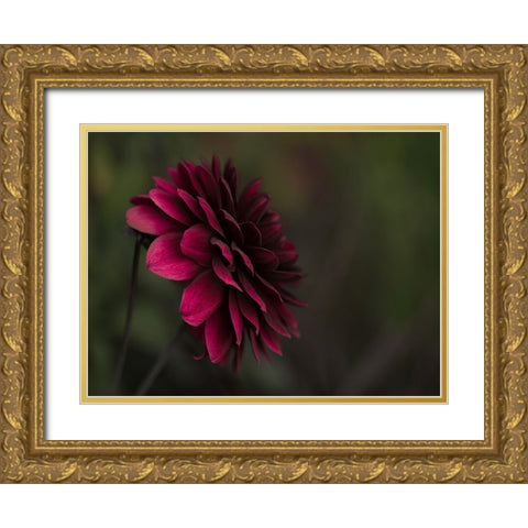 Flower 54 Gold Ornate Wood Framed Art Print with Double Matting by Lee, Rachel