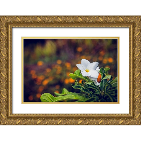 Flower 6 Gold Ornate Wood Framed Art Print with Double Matting by Lee, Rachel