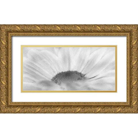 Flower 68 Grayscale Watercolor Gold Ornate Wood Framed Art Print with Double Matting by Lee, Rachel
